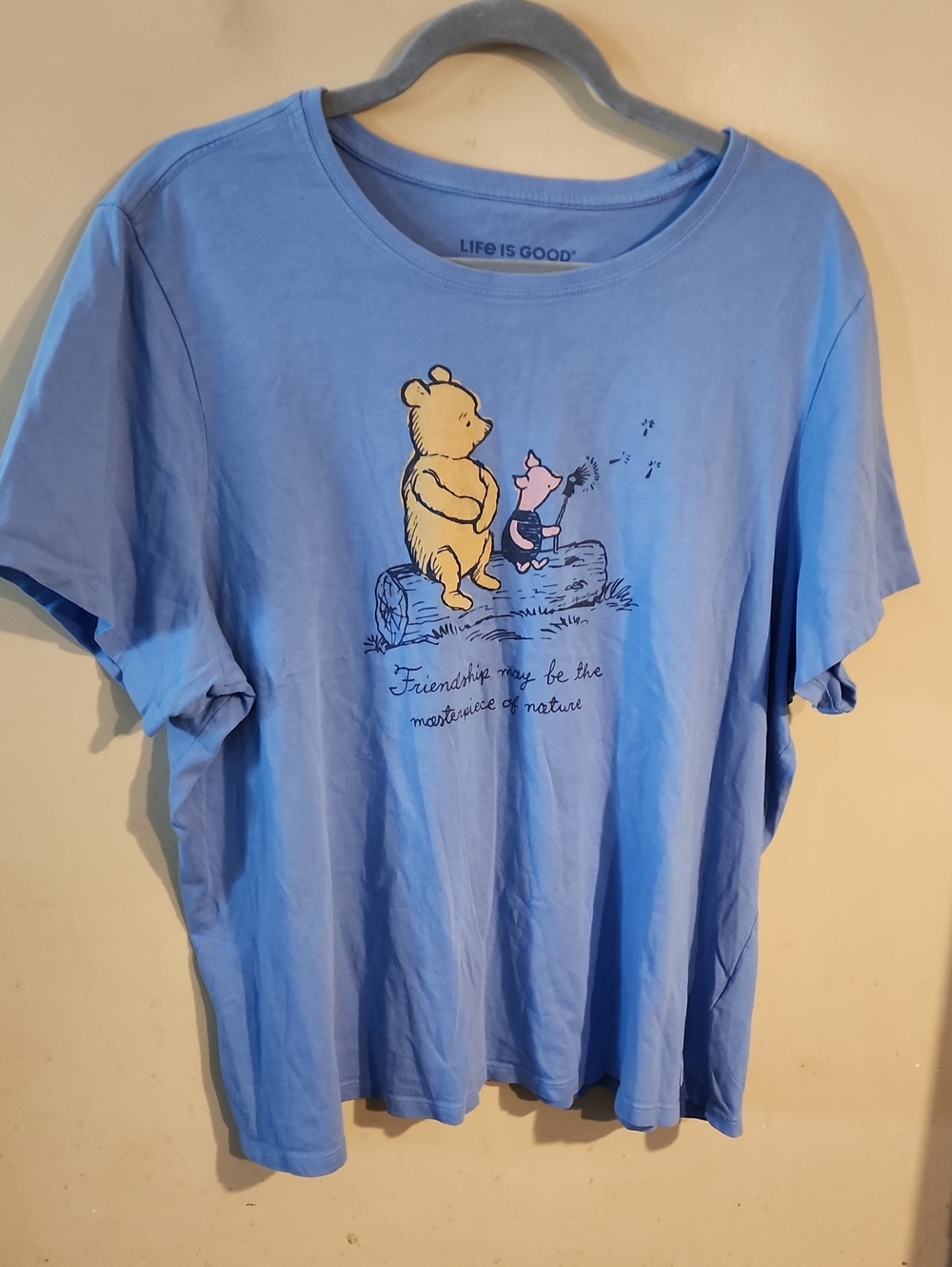 Life Is Good Kids Light Blue Winnie the Pooh & Piglet Graphic Tee